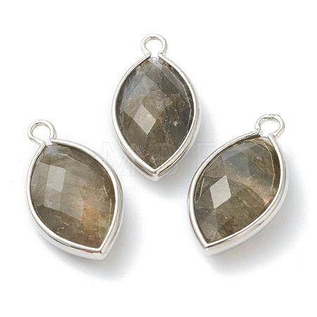 Natural Labradorite Pendants G-B009-01P-G-1
