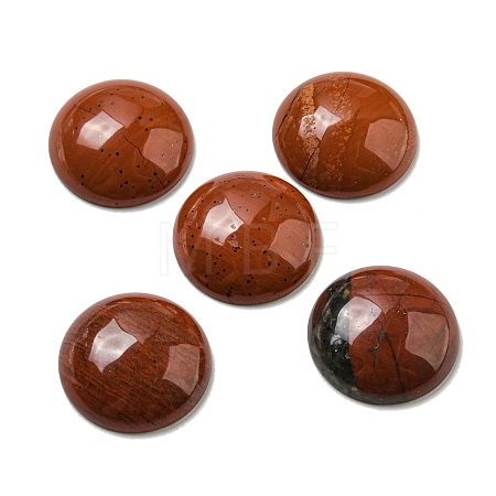 Natural Red Jasper Cabochons G-C115-02A-29-1