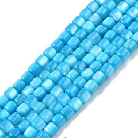 Natural Freshwater Shell Beads Strands SHEL-N003-33-A03-1