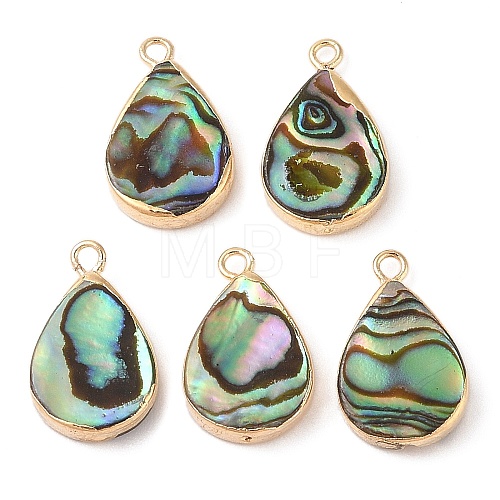 Natural Paua Shell Pendants SHEL-P017-14G-1