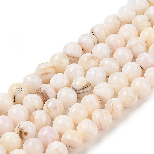 Natural Freshwater Shell Beads Strands SHEL-T011-02-8mm-1