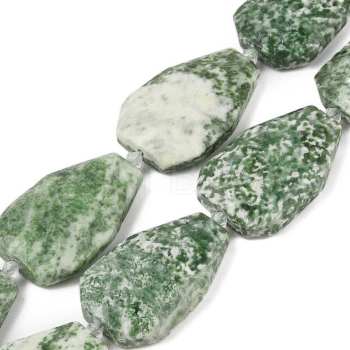 Natural Green Spot Jasper Beads Strands G-P548-B03-01-1