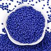8/0 Baking Paint Glass Seed Beads X1-SEED-M012-02A-54-2