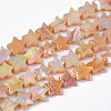 Freshwater Shell Beads Strands SHEL-N026-08C-1