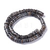 Natural Freshwater Shell Beads Strands BSHE-I016-04-3