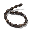Natural Llanite Beads Strands G-P520-C24-01-3