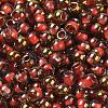 Glass Seed Beads SEED-H002-B-D205-3