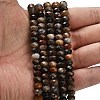 Natural Petrified Wood Beads Strands G-Z111-A50-2
