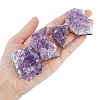4Pcs 4 Style Natural Amethyst Clusters Ornaments G-FH0002-04-3