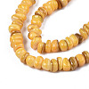 Natural Trochid Shell/Trochus Shell Beads Strands SHEL-S258-081-B11-3