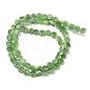 Handmade Lampwork Beads Strands LK-R004-51B-2