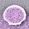 FGB Grade A Frosted Glass Seed Beads SEED-Q040-04A-05-3