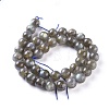 Natural Labradorite Round Bead Strands G-I156-01-10mm-4