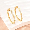 Brass Micro Pave Cubic Zirconia Hoop Earrings EJEW-P346-07G-01-1