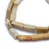 Natural Fossil Coral Beads Strands G-F631-E05-3