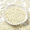 Baking Paint Luster Glass Seed Beads X-SEED-B001-04A-11-2