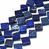 Natural Lapis Lazuli Beads Strands G-F725-31-1