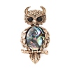 Owl Shape Antique Alloy Rhinestone Lapel Pins JEWB-B038-04AG-1