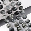 Natural Eagle Eye Stone Beads Strands G-T144-A01-03-1