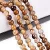Natural Wood Lace Stone Wooden Jasper Beads Strands G-B128-A04-02-1
