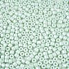 Baking Paint Pearlized Glass Seed Beads SEED-T008-03P-3