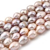 Natural Cultured Freshwater Pearl Beads Strands PEAR-I007-01H-02C-2