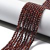 Natural Garnet Beads Strands G-H079-A01-03D-2