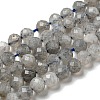 Faceted Round Natural Labradorite Bead Strands G-I156-03-4mm-3