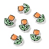 Transparent Glass Enamel Beads LAMP-C023-01E-1