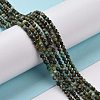 Natural African Turquoise(Jasper) Beads Strands G-P472-02-4
