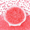 Transparent Inside Colours Glass Seed Beads SEED-T007-11E-1