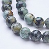 Dyed & Natural African Turquoise(Jasper) Beads Strands G-D855-06-8mm-3