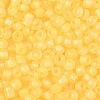 6/0 Luminous Glass Seed Beads X1-SEED-NH0001-01L-4