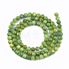 Freshwater Shell Beads Strands SHEL-S276-32D-2