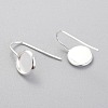 304 Stainless Steel Earring Hooks STAS-F227-22A-S-2