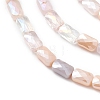 Gradient Color Electroplate Glass Bead Strands GLAA-E042-01E-3
