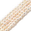 Natural Cultured Freshwater Pearl Beads Strands PEAR-I007-01O-01B-2