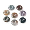Donut/Pi Disc Natural Gemstone Pendants G-L234-30mm-12-1