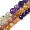 Natural Amazonite & Sunstone & Citrine & Amethyst & Prehnite & Botswana Agate & Lapis Lazuli Beads Strands G-S376-003C-5