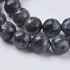 Natural Larvikite Beads Strands G-G542-10mm-27-3