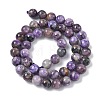 Natural Charoite Beads Strands G-C270-O02-05-3