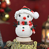 Christmas DIY Knitting Kits for Beginners PW-WG298D0-08-1