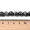 Natural Eagle Eye Stone Beads Strands G-G344-A05-8mm-5