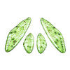 Transparent Resin Wing Earrings Pendants FIND-TAC0006-58E-1