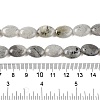 Natural Labradorite Beads Strands G-M206-42-5