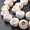 Natural Spiral Shell Bead Strands SSHEL-N034-106-4