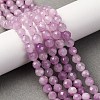 Natural Kunzite Beads Strands G-P587-B01-02-1