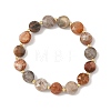 Natural Fossil Coral Faceted Flat Round Beaded Stretch Bracelets with Brass Round Beads for Women BJEW-JB14168-3