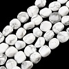 Natural Howlite Beads Strands GG-CBA787B-A03-2