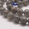 Natural Labradorite Bead Strands G-P259-03-6mm-6